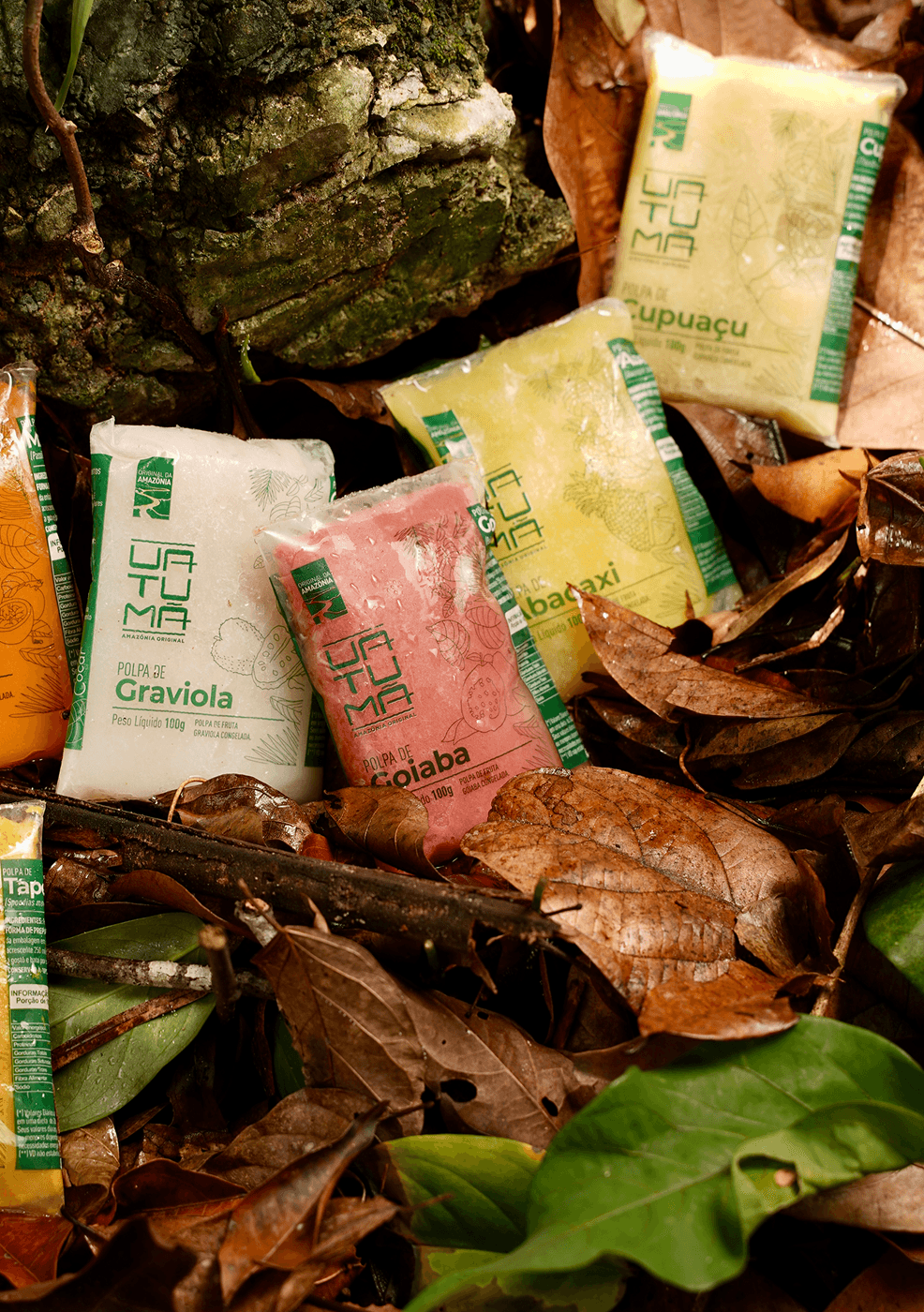Polpas de frutas amazônicas